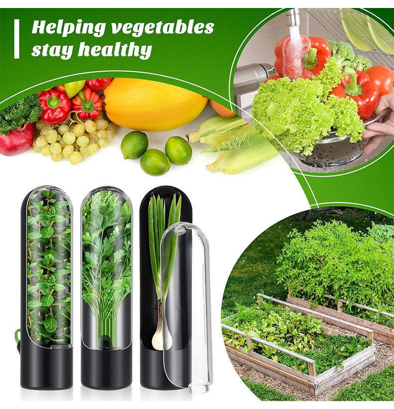Herb Keeper Bottle - 野菜新鮮な保存ボトルハーブセーバー保存容器フレッシュハーブキーパーバニラキッチン用品を保管するため