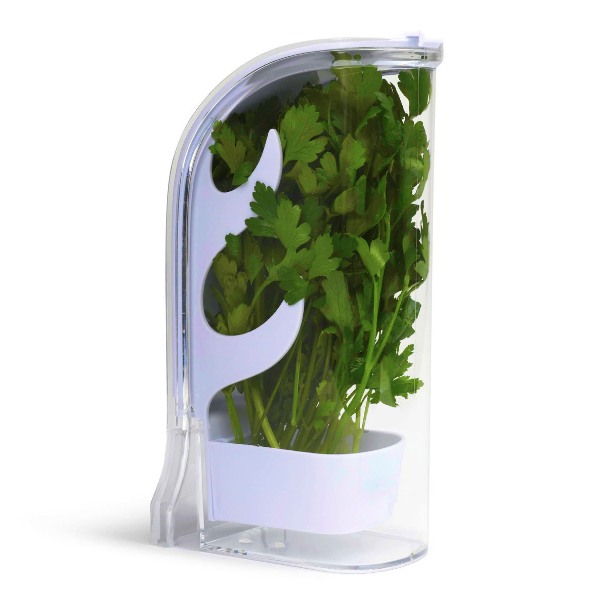 ハーブクリスパーセーバーコンテナ冷蔵庫横開きコンテナハーブ野 - Herb Keeper Bottle のレビューと価格