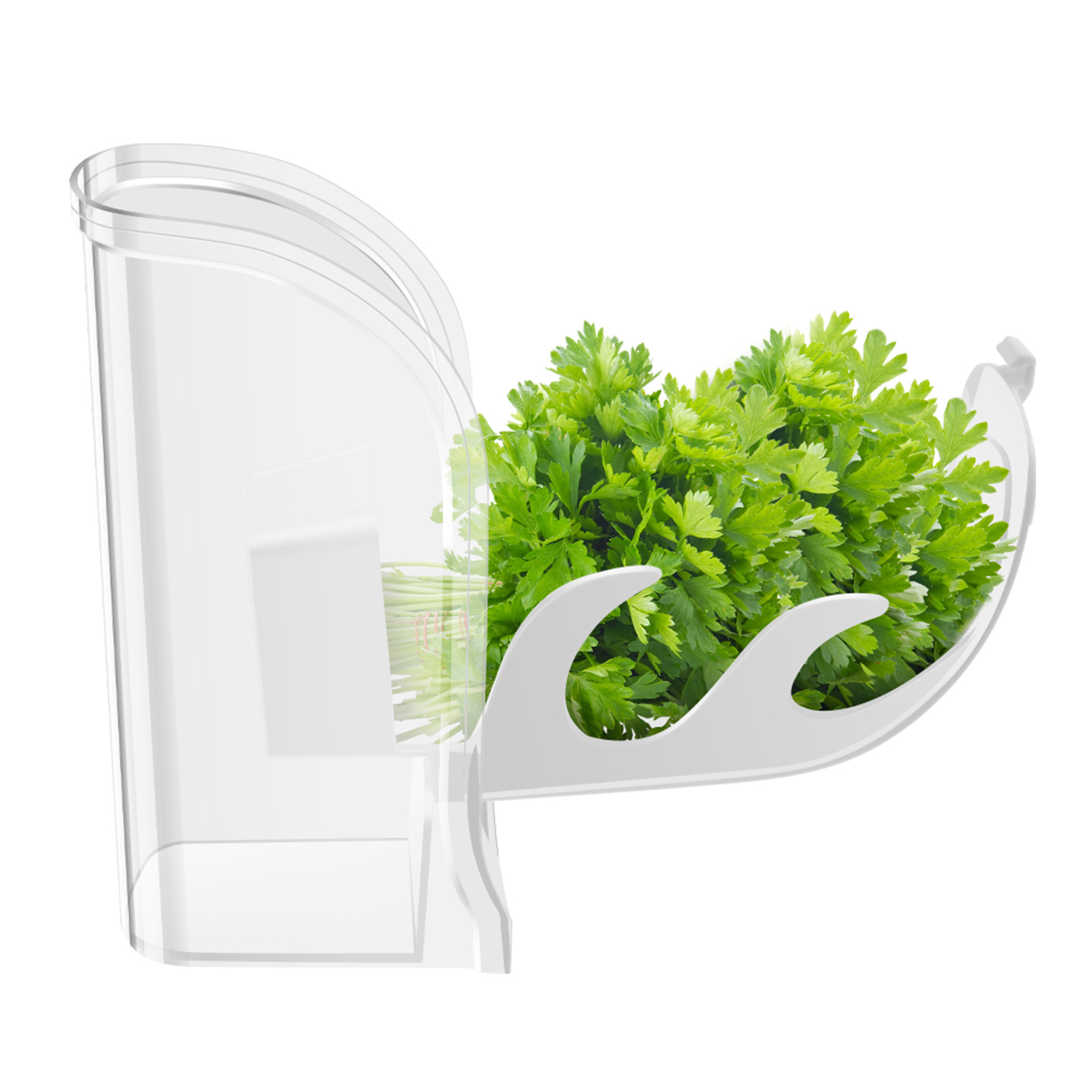 ハーブクリスパーセーバーコンテナ冷蔵庫横開きコンテナハーブ野 - Herb Keeper Bottle のレビューと価格