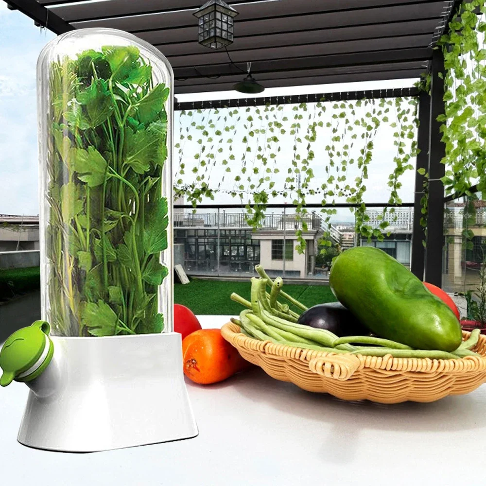 野菜のメンテナンスボトル、ハーブセーバー、収納容器、新鮮なハ - Herb Keeper Bottle のレビューと価格