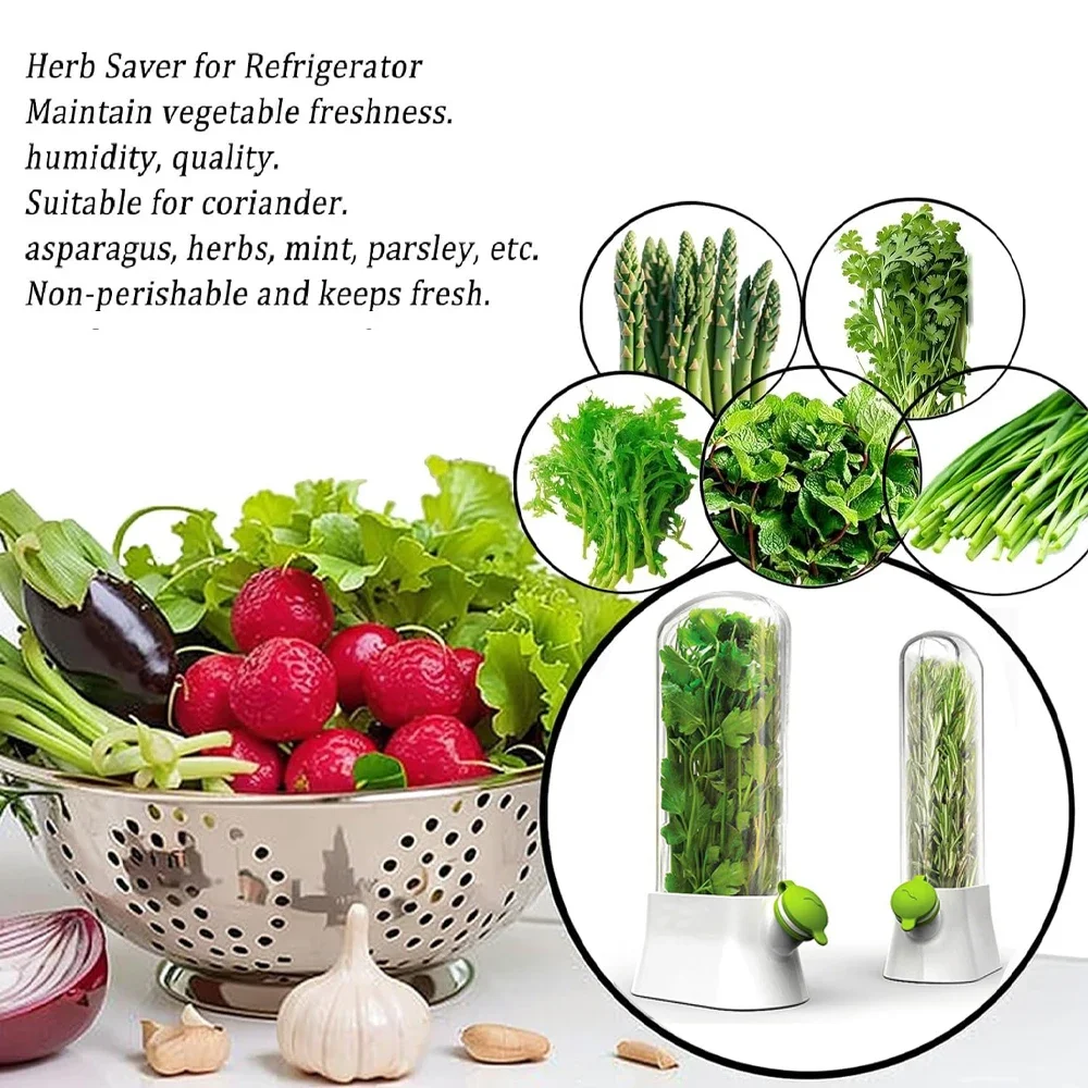 野菜のメンテナンスボトル、ハーブセーバー、収納容器、新鮮なハ - Herb Keeper Bottle のレビューと価格