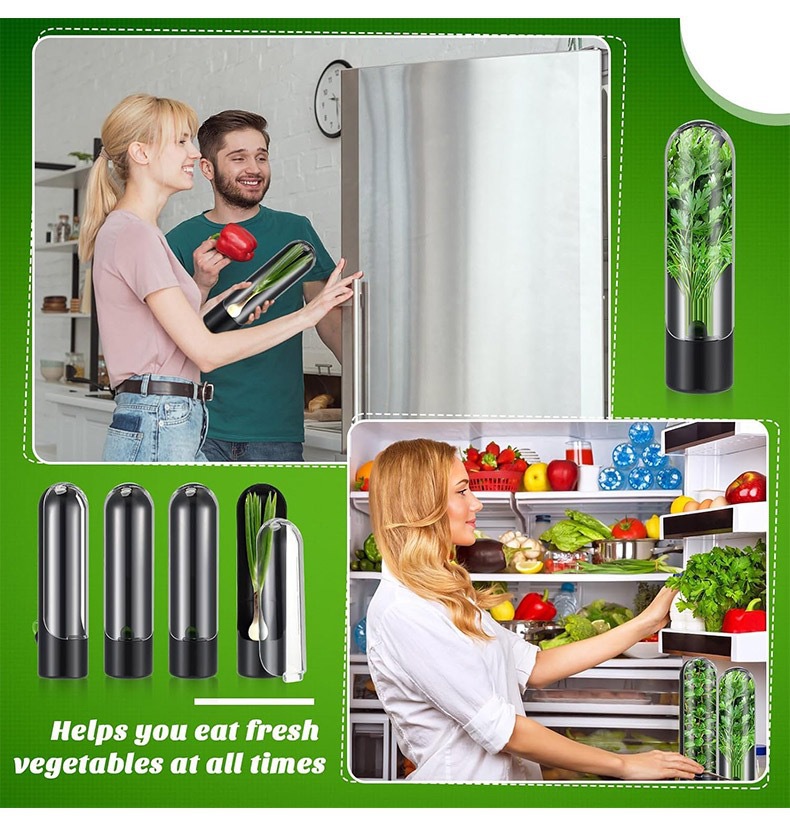 野菜新鮮な保存ボトルハーブセーバー保存容器フレッシュハーブキ - Herb Keeper Bottle のレビューと価格